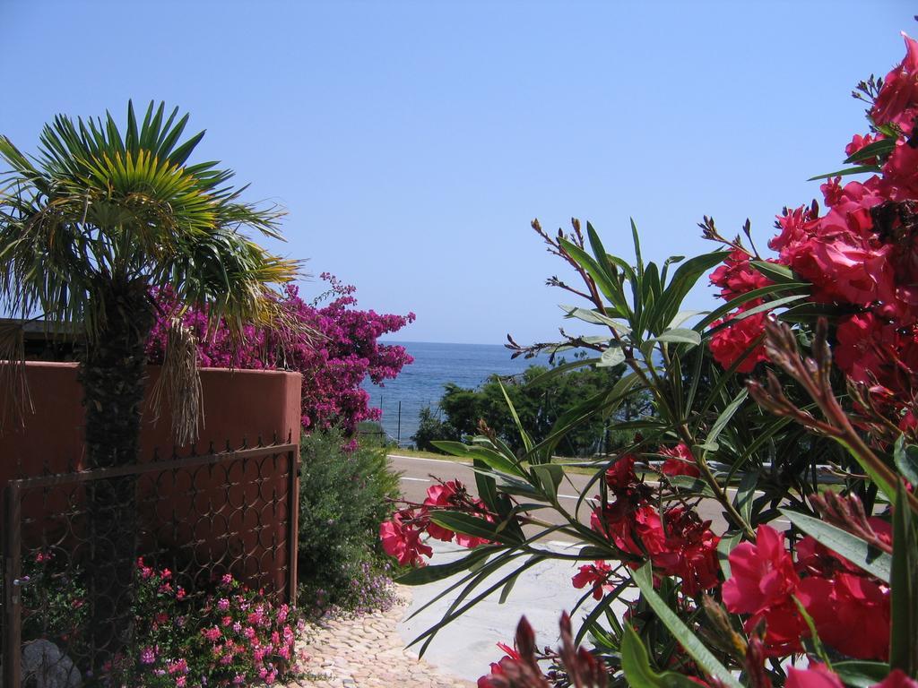 Les Bungalows De Figha Tarcu Ngoại thất bức ảnh