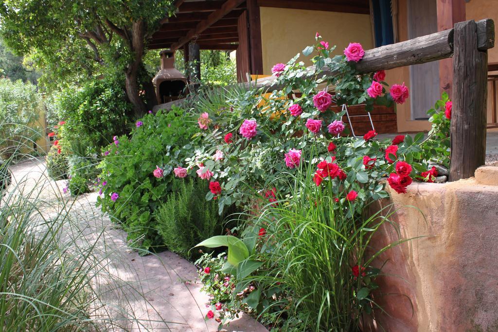 Les Bungalows De Figha Tarcu Ngoại thất bức ảnh